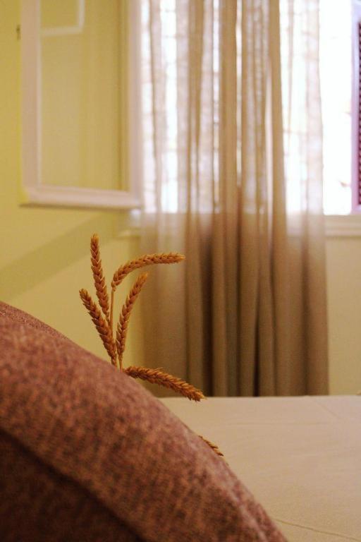 Alegria Apartments Gaios Dış mekan fotoğraf